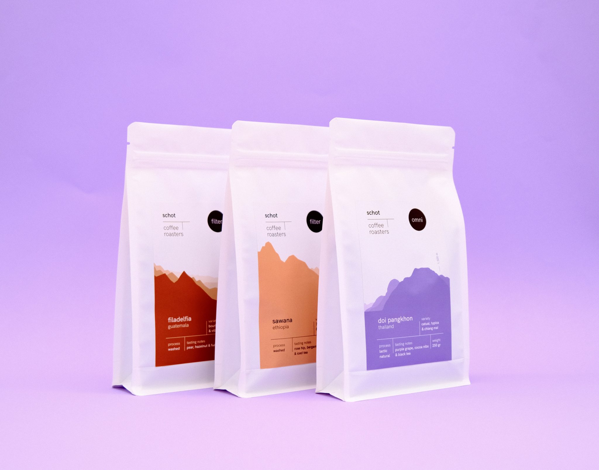 *NEW* Filter Taster Set – 3 x 250 gram