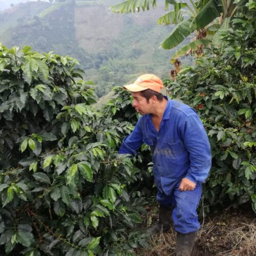 Inza_colombia Inza_colombia