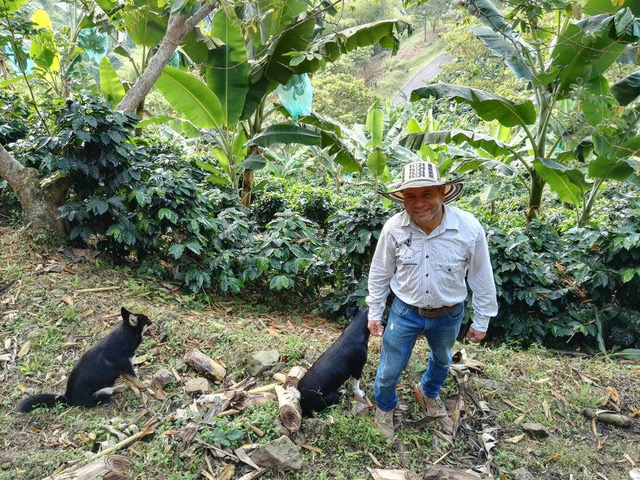 Diofanor Ruiz Farm