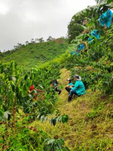 Finca Abarim