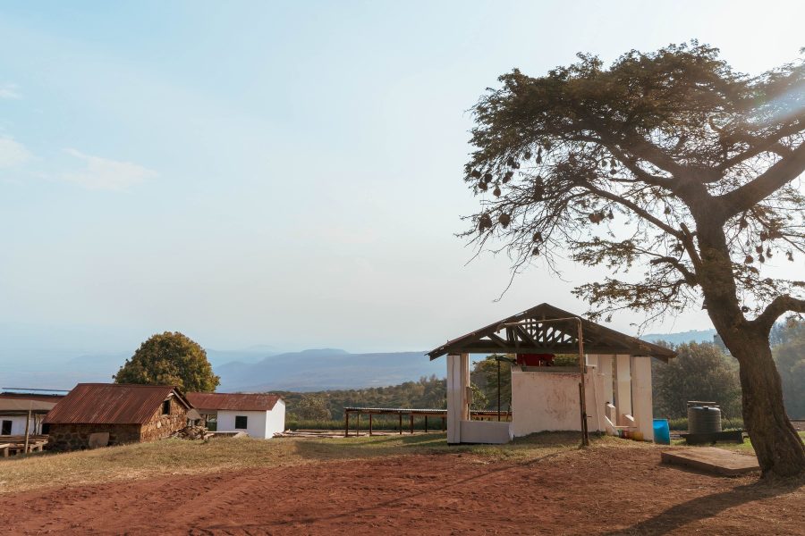 Tanzania Acacia Hills 3