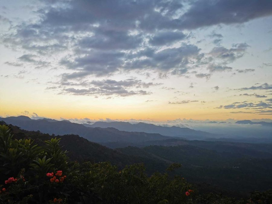 006286a72438891c8830d83f81cc04bd