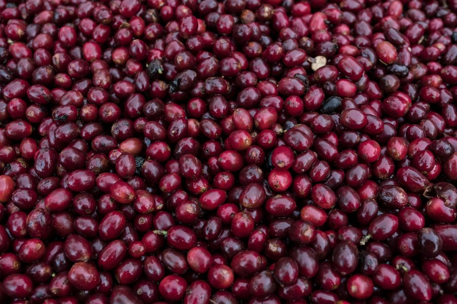 3dad4bf9eaa3713d7b44dccec4f4dcb5