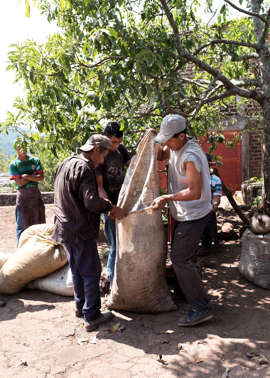 6fedf54bb004066f2393ed4fcce744af