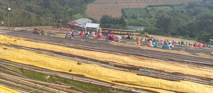 Haider, drying tables 3(1)