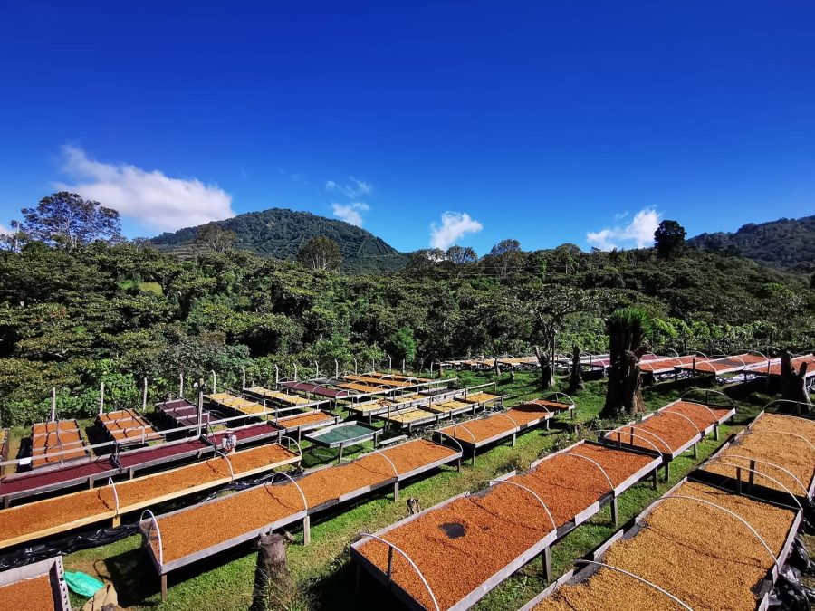 c282fc7da8846c5ad6cf1a89090d35ea