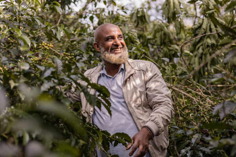 Ethiopia Mensur Abahika Decaf 2